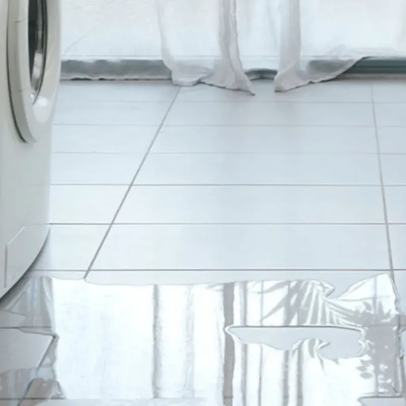Appliance Leak Cleanup in Montpelier, ID