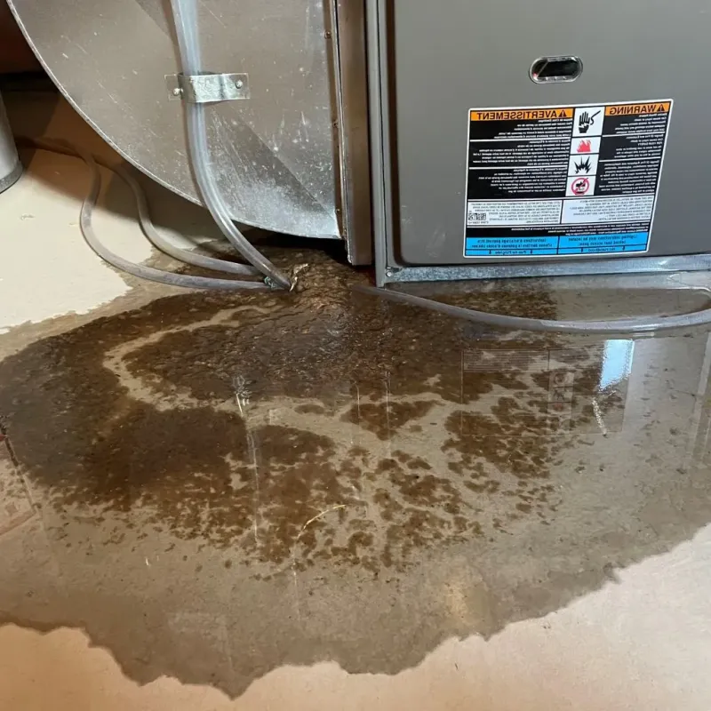 Pipe Burst and Leak Restoration in Montpelier, ID