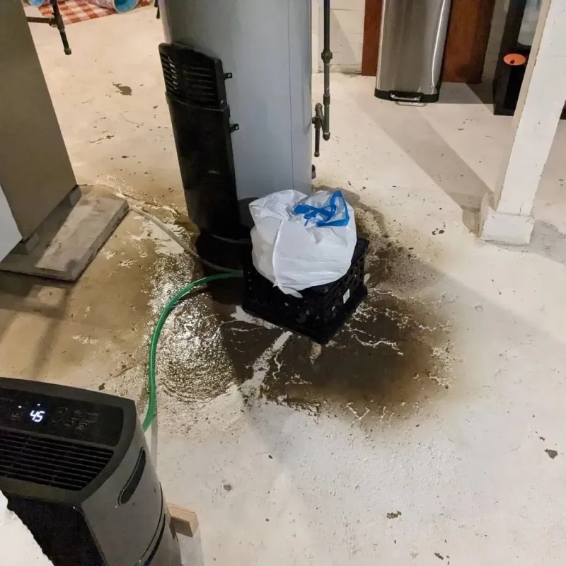 Sewage Backup Cleanup Service in Montpelier, ID